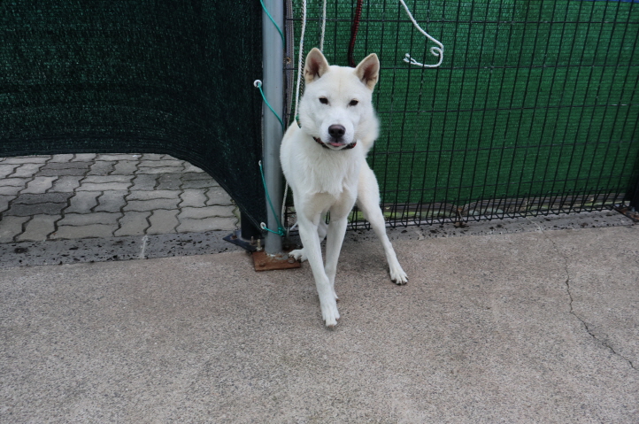 제주 동물보호센터_450650202303943